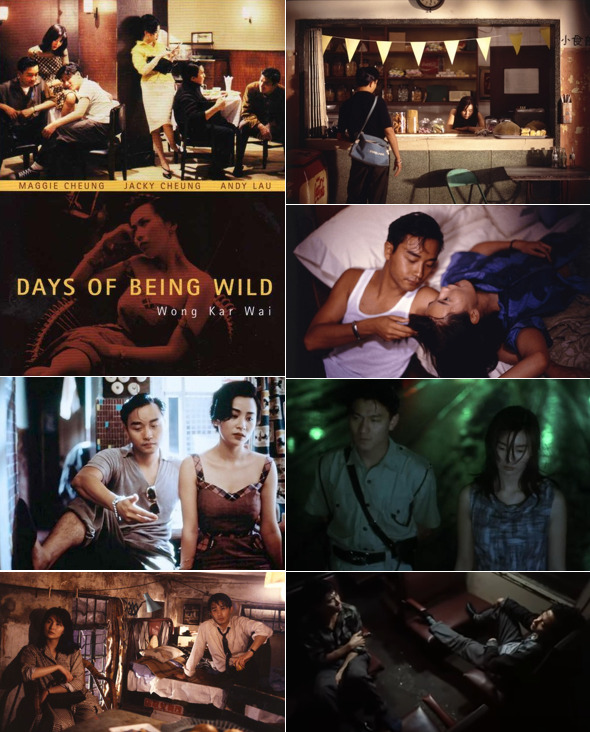 days-of-being-wild1