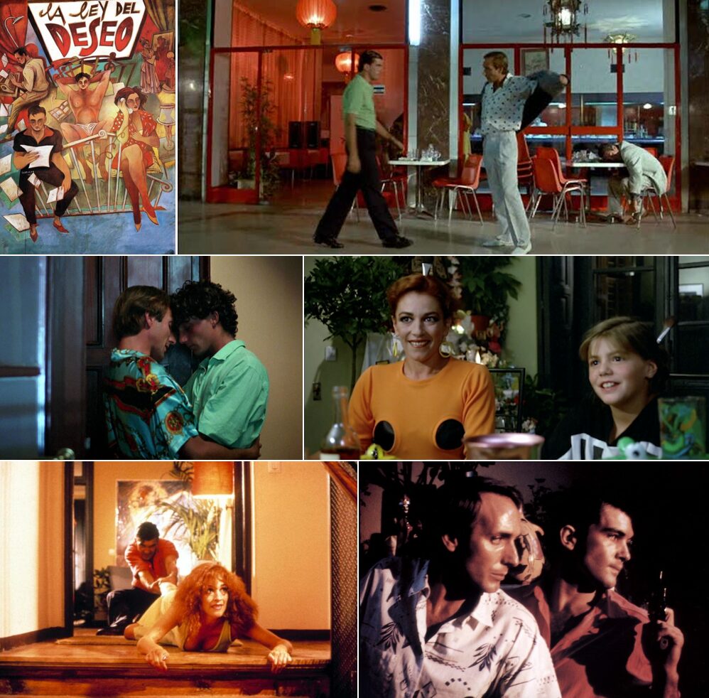 la-ley-del-deseo1