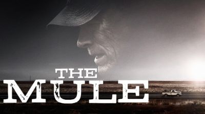 the-mule2