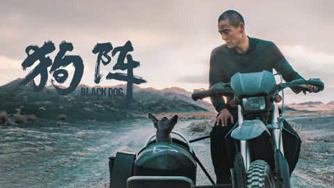 black-dog2
