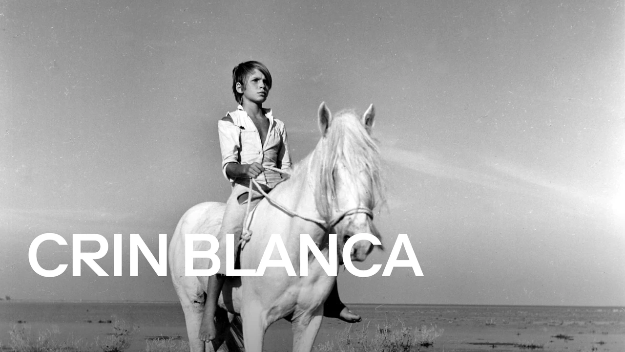 crin-blanc2