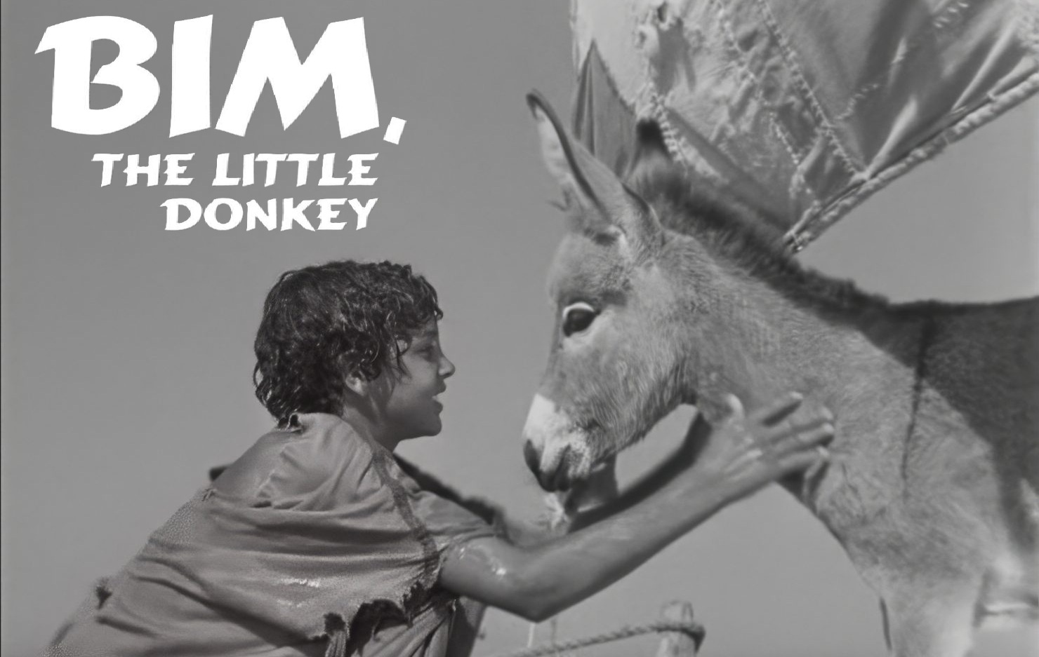 bim-le-petit-ane２