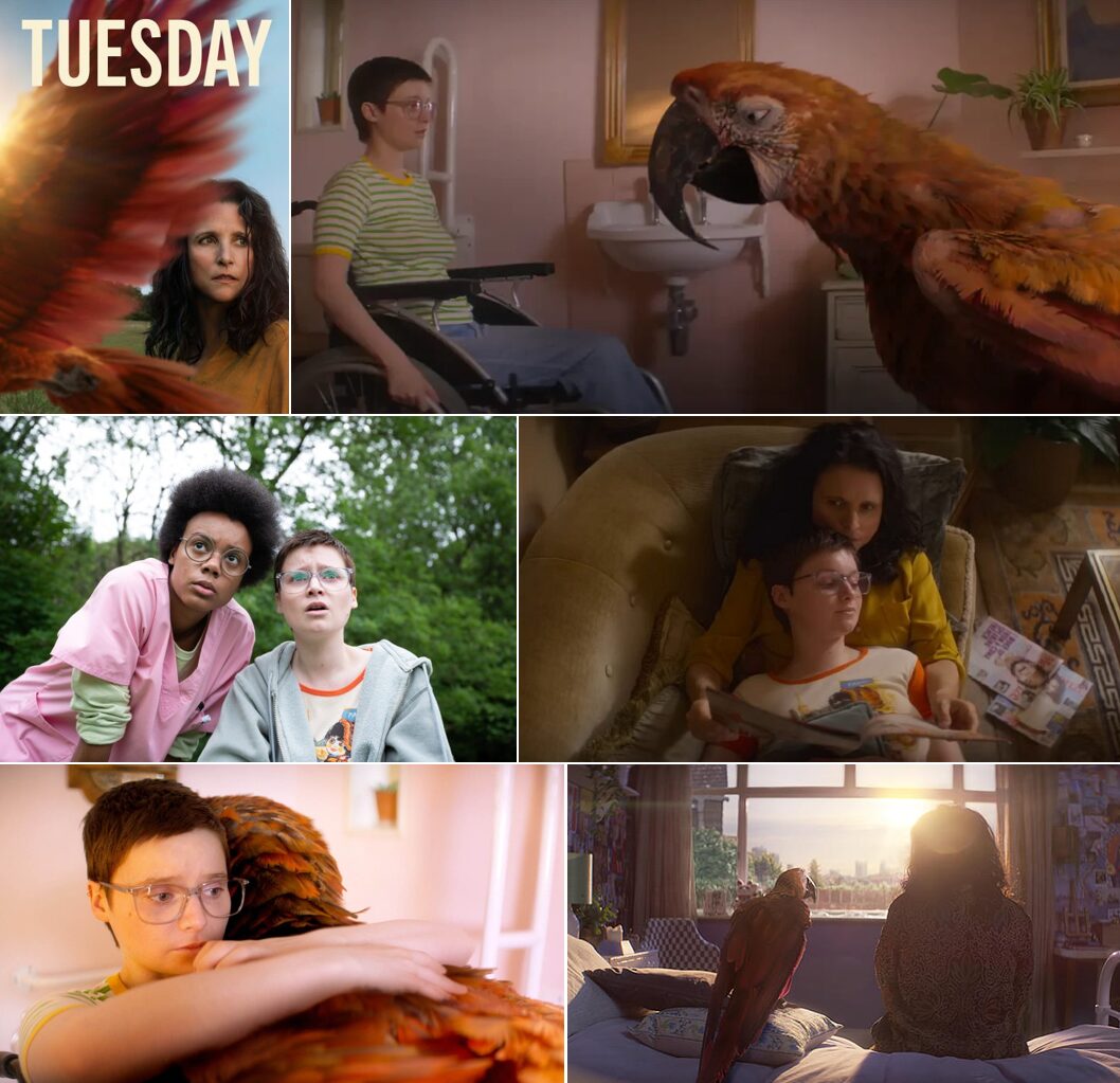 tuesday2