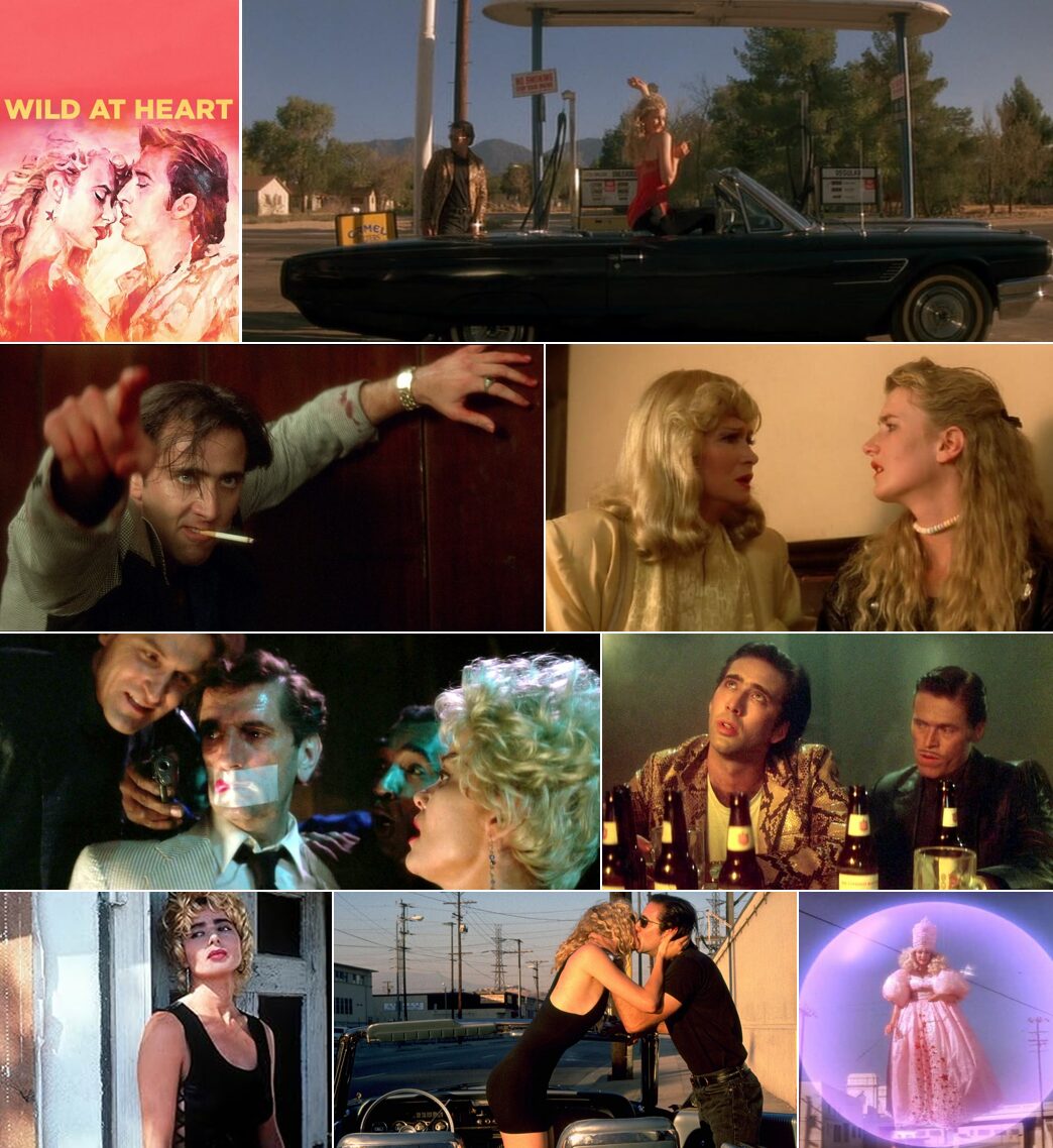 wild-at-heart1